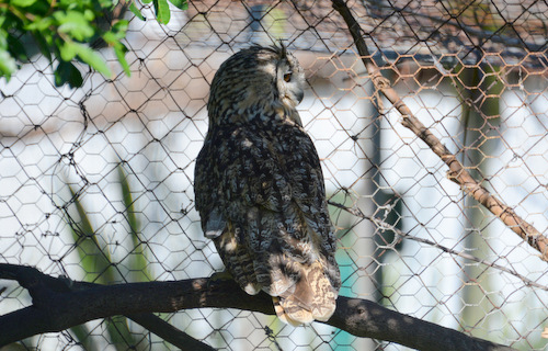 World of Birds Wildlife Sanctuary.